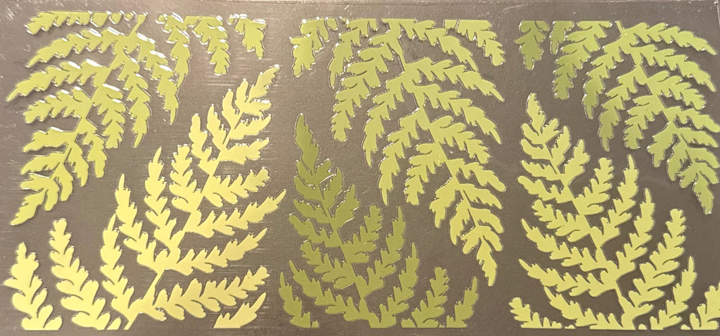 Fern